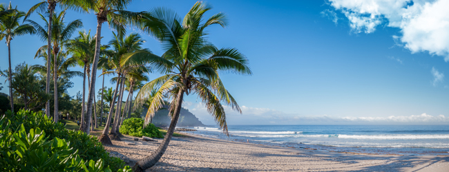 Traumhafter Strand mit Palmen auf La Réunion, ideal für Entspannung und Abenteuer mit LISA! Sprachreisen